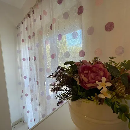 Flower Sea Hope-Con Posto Auto A 10 Minuti Dalla Spiaggia Sanremo Exterior photo